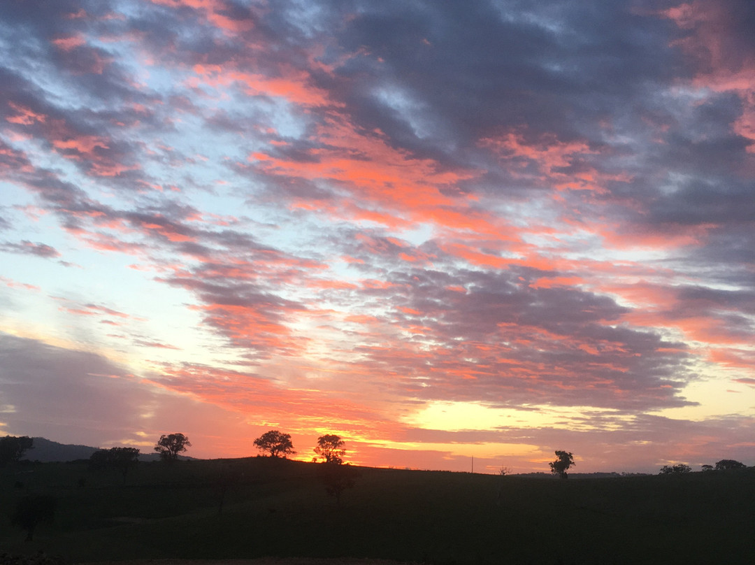 Wirraway Farm Stay主图