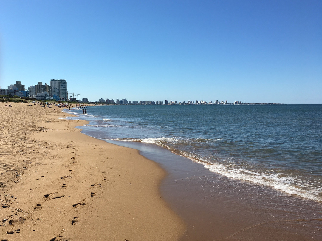 Serena Hotel Punta Del Este主图