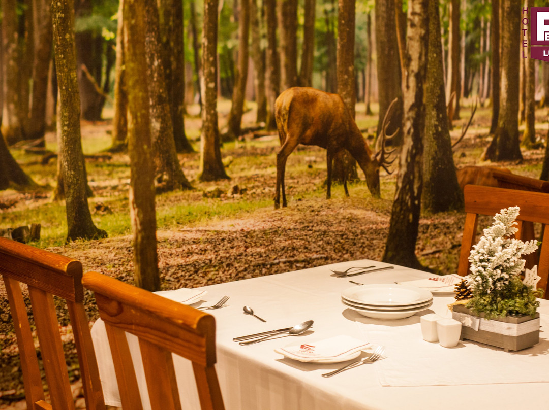 Hotel Fero Lux主图