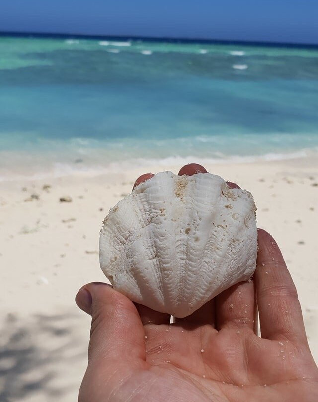 Capricornia Cays National Park-Gladstone必去景点