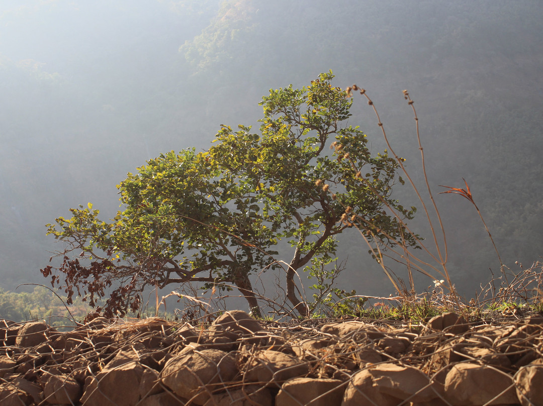 Chilkahrada Wild Life Sanctuary景点图片