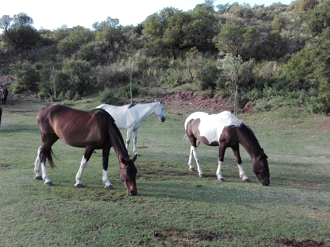 La Salagria-Potrero de los Funes必去景点