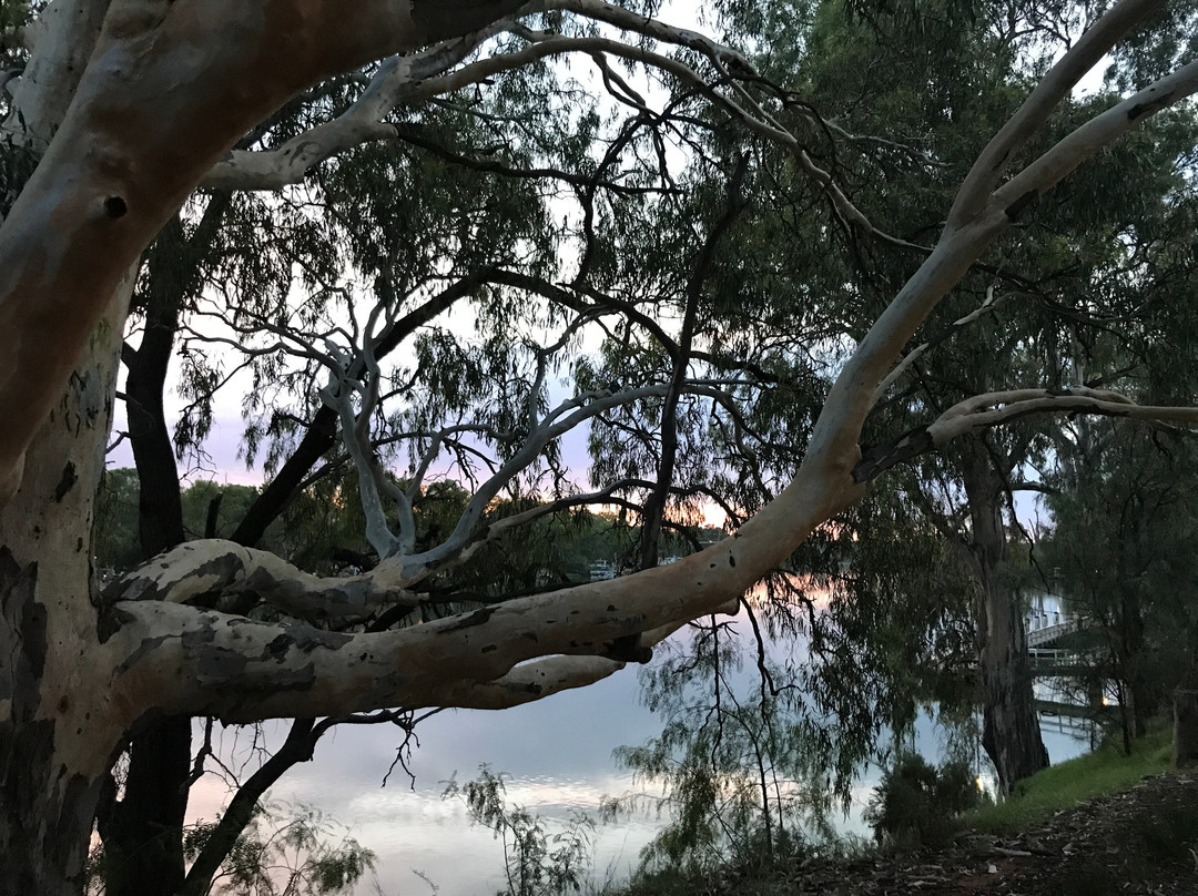 第七街汽车旅馆主图