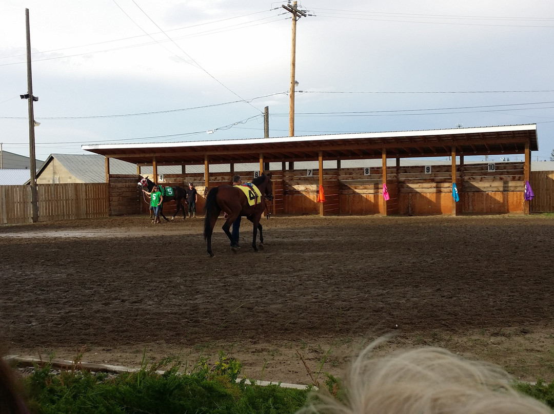 Marquis Downs-萨斯卡通必去景点