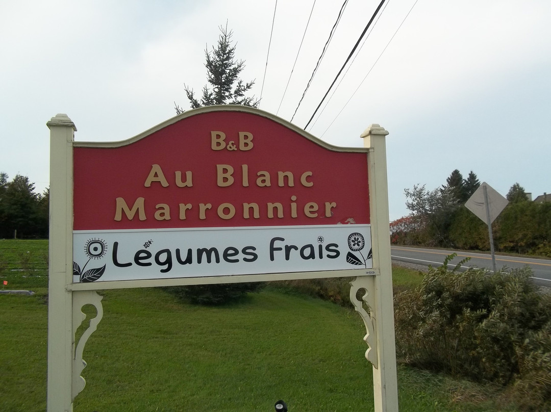 Gite Au Blanc Marronnier主图