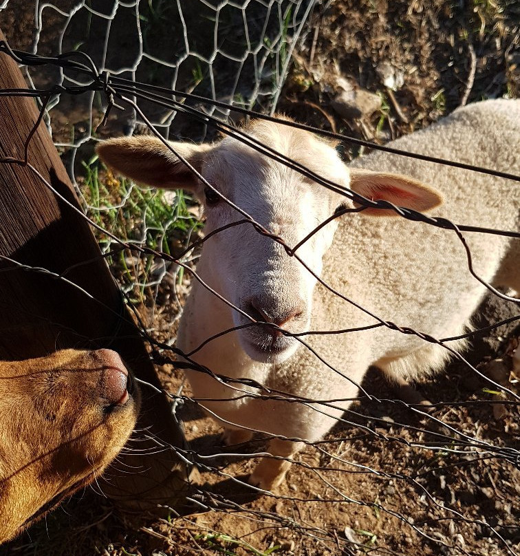 Van Zylsvlei B&B主图