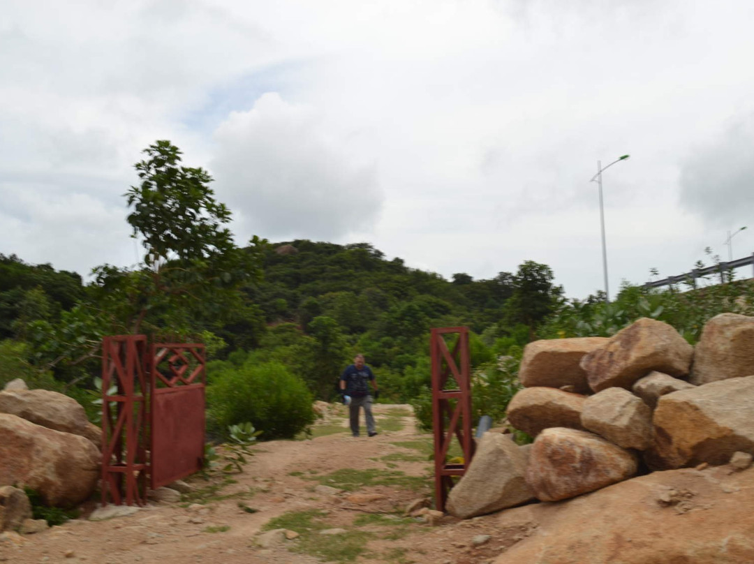 Nui Chua National Park景点图片