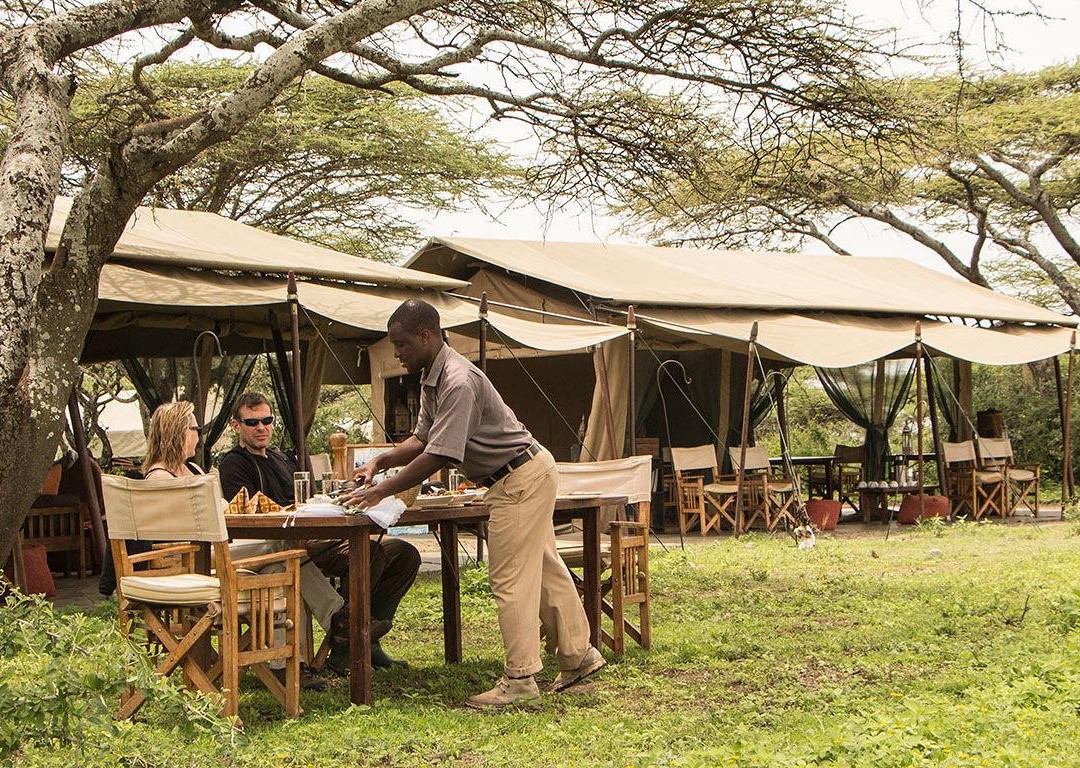 Unique Jungle Tours - Day Tours-阿鲁沙必去景点