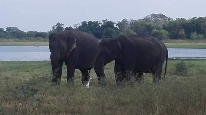 JS Lanka Tours-North Western Province必去景点