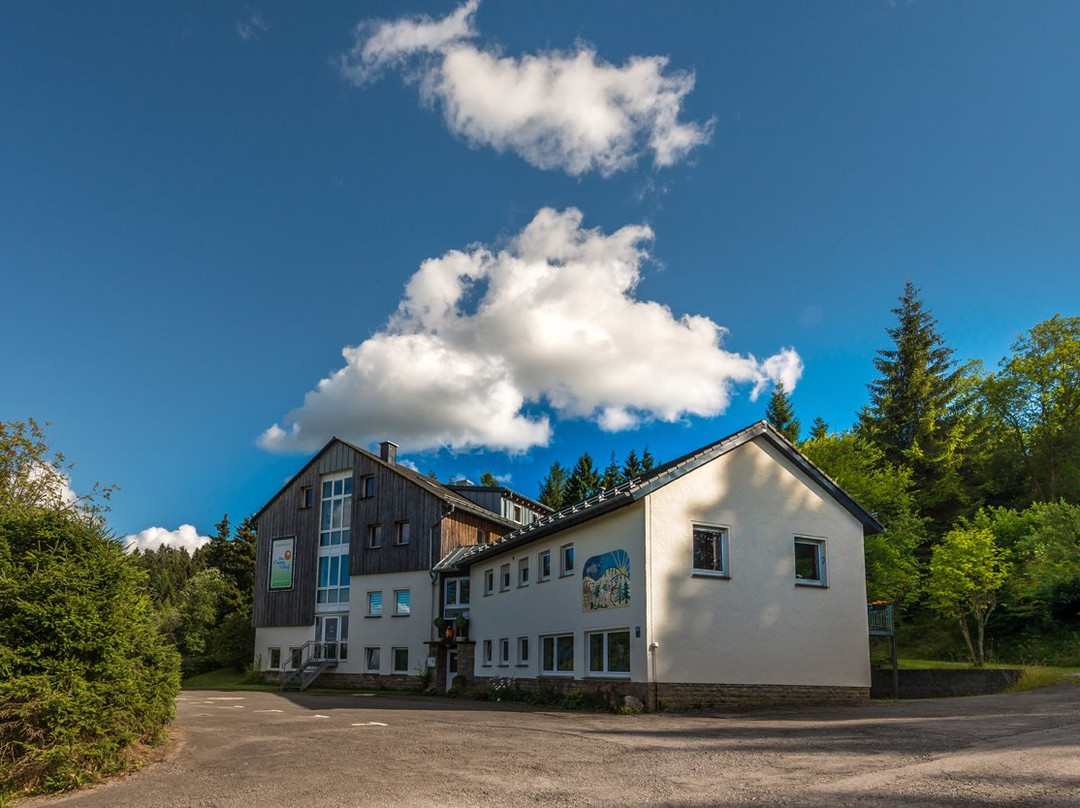 Das orangene Schaf