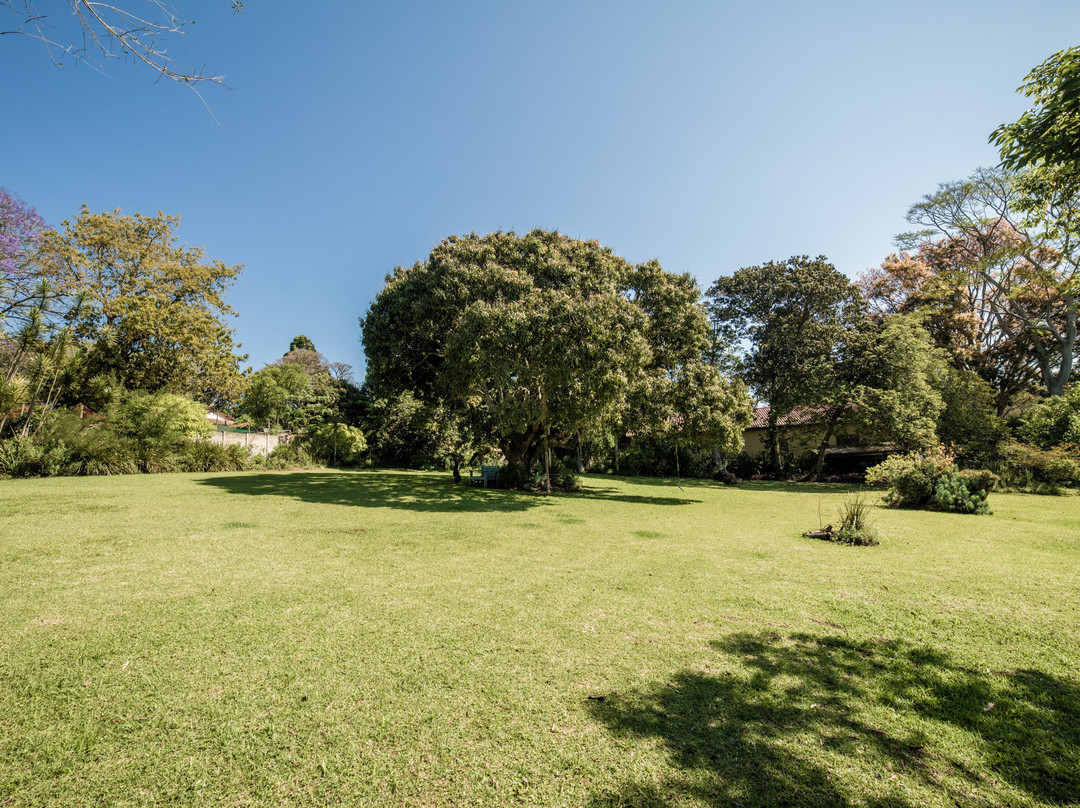 Forest View Lodge主图