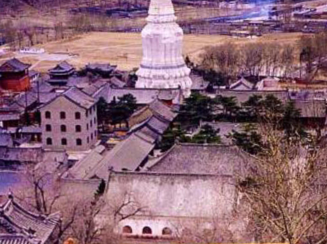 五台山生态园主图