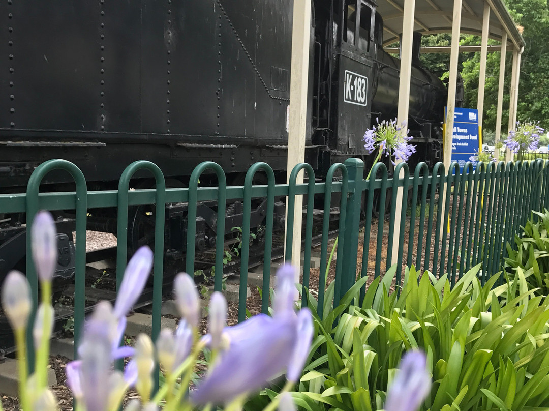 Yarragon Steam Locomotive-Yarragon必去景点