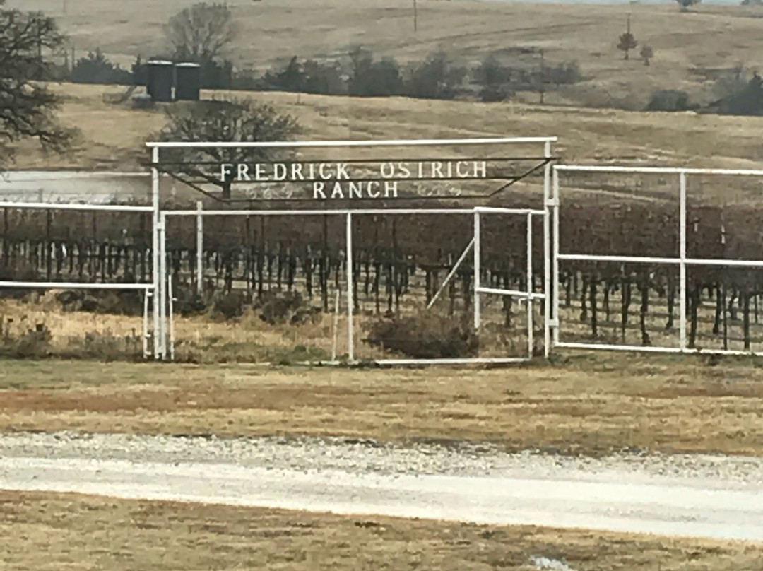 Blue Ostrich Winery & Vineyard景点图片