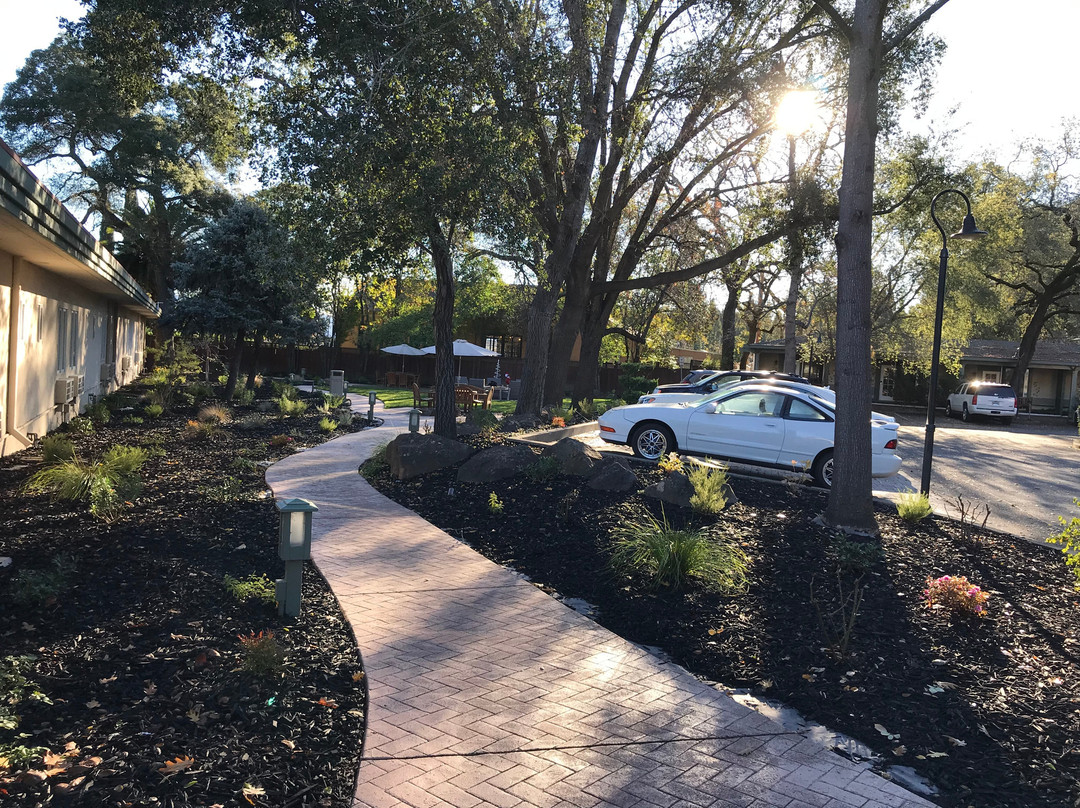 El Bonita Motel主图