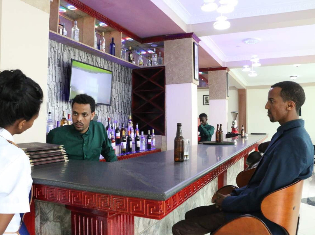 Gondar Plaza Hotel主图