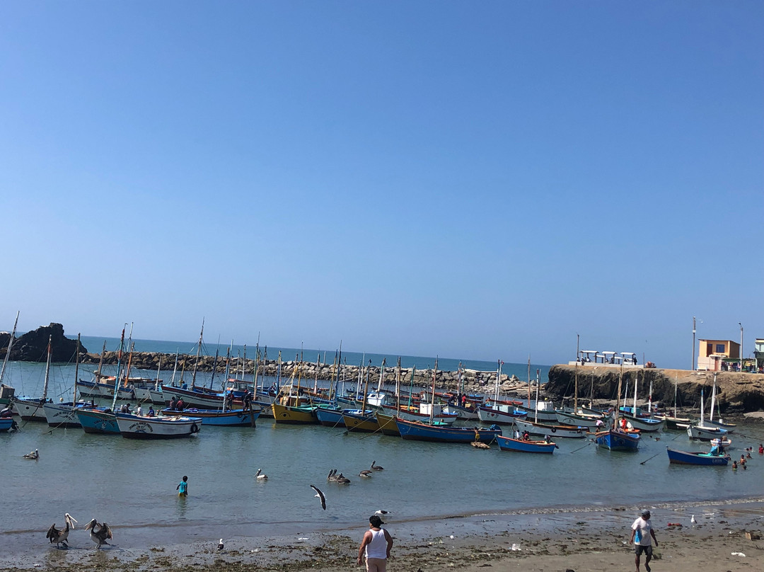 Isla Foca-Piura必去景点