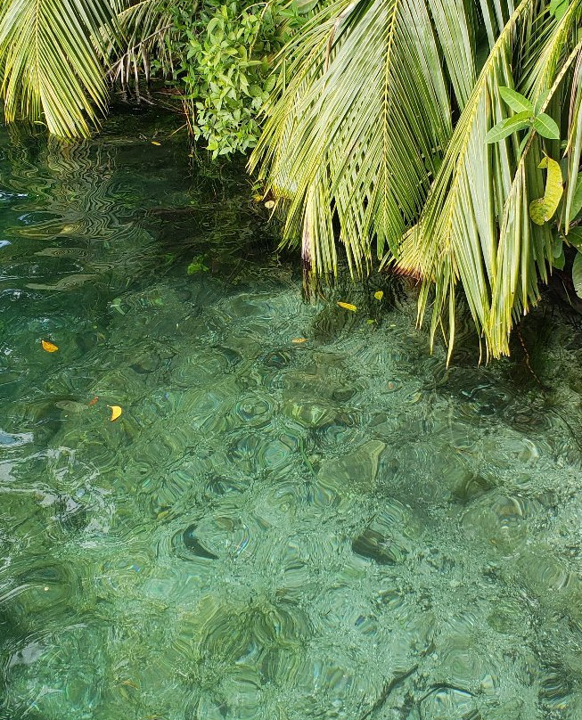 Cenote de la Bruja-Bacalar必去景点