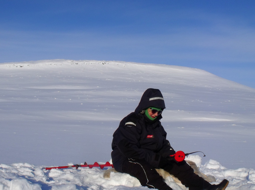 Safaris - The Lapland Connection-Kilpisjarvi必去景点