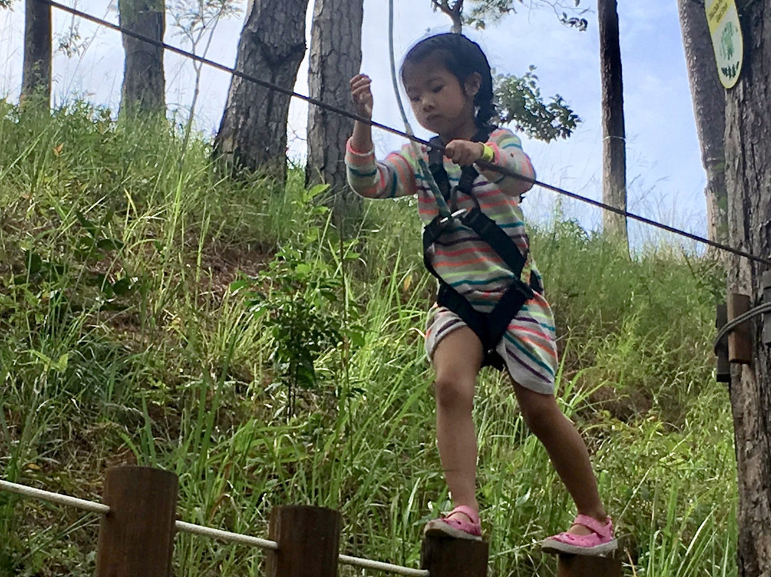 Dalattourist-大勒必去景点