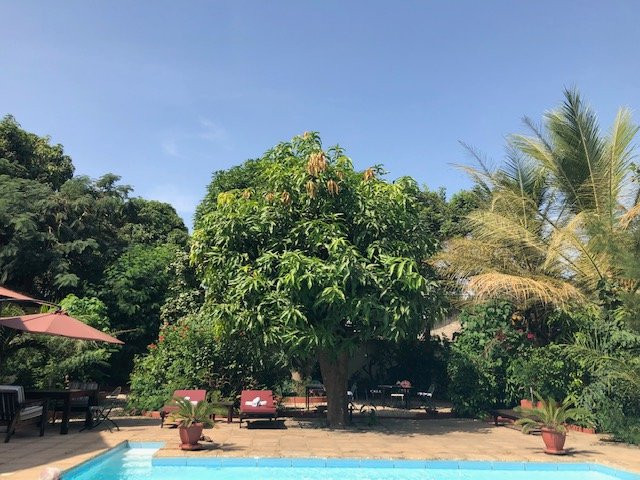 Hibiscus House主图