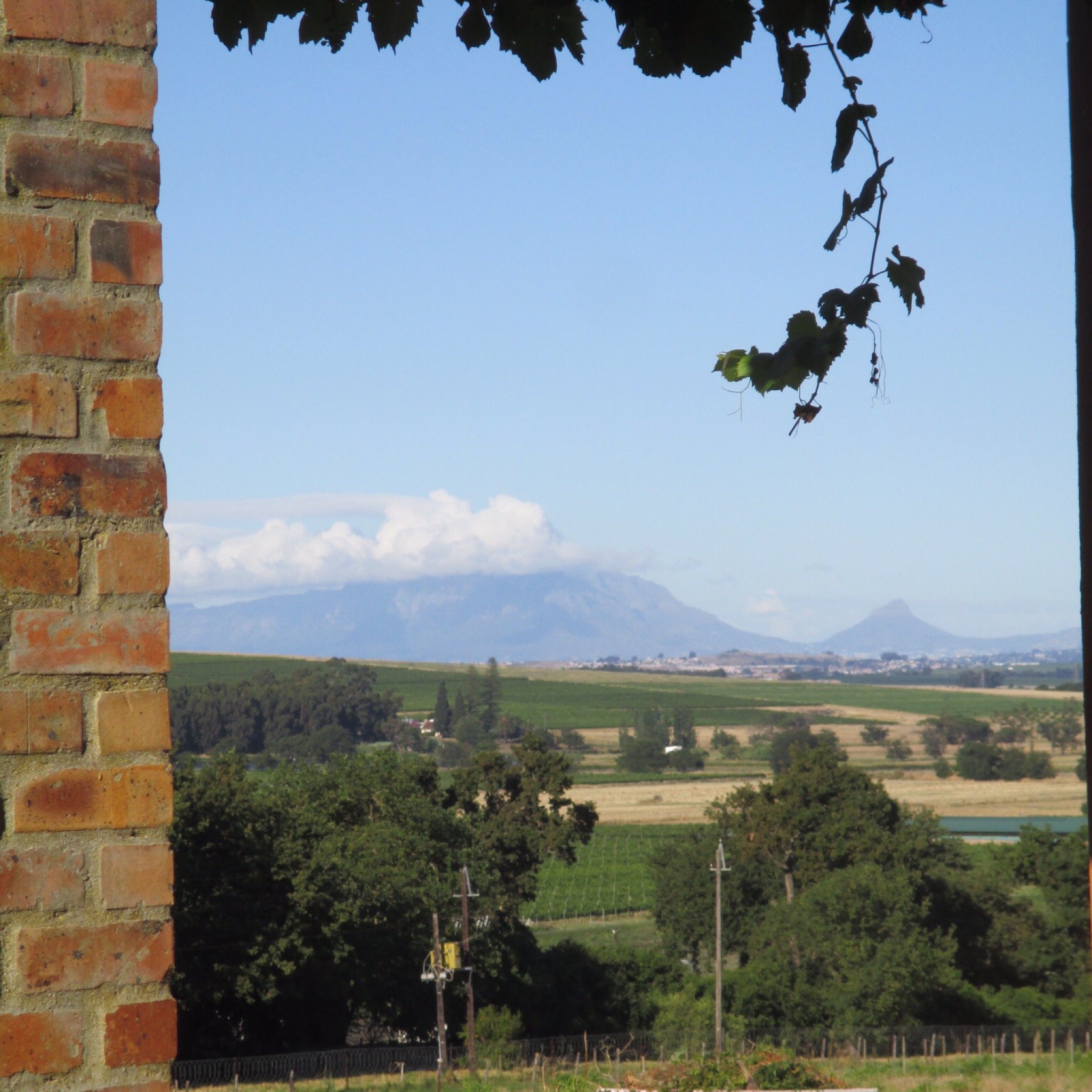 Winemakers House Farm Accommodation-官方