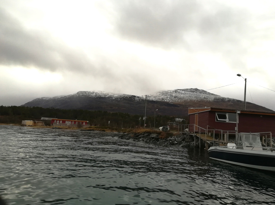 Vikran旅游攻略图片