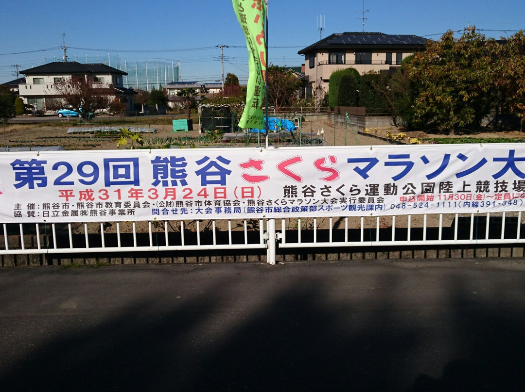 Kumagaya Sakura Sports Park-熊谷市必去景点