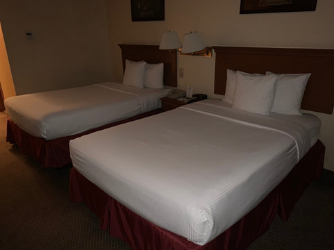 Sayreville酒店住宿-东布伦瑞克戴斯酒店与会议中心