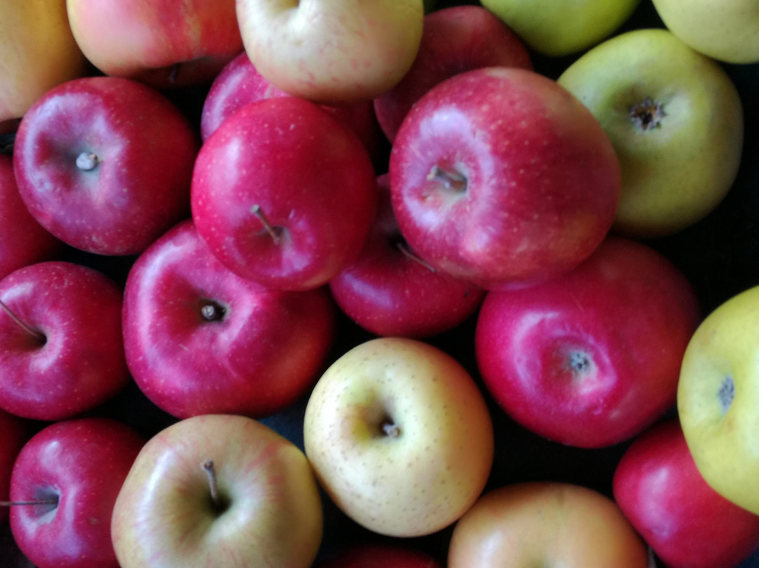 Iizuna-Machi Iizuna Apple Museum
