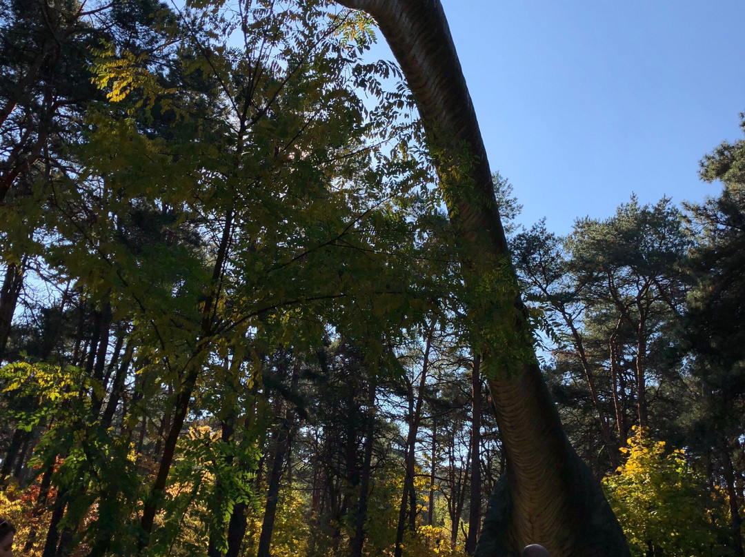 JuraPark-Solec Kujawski必去景点