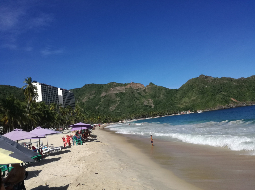 Playa Bahía de Cata景点图片