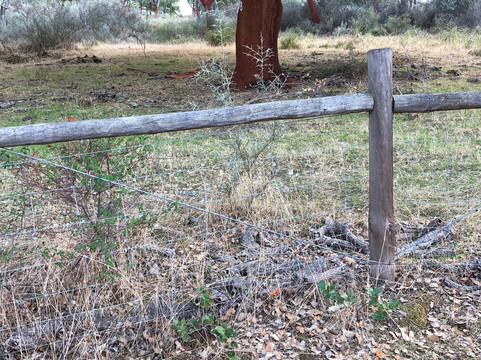 Corktour-Estremoz必去景点