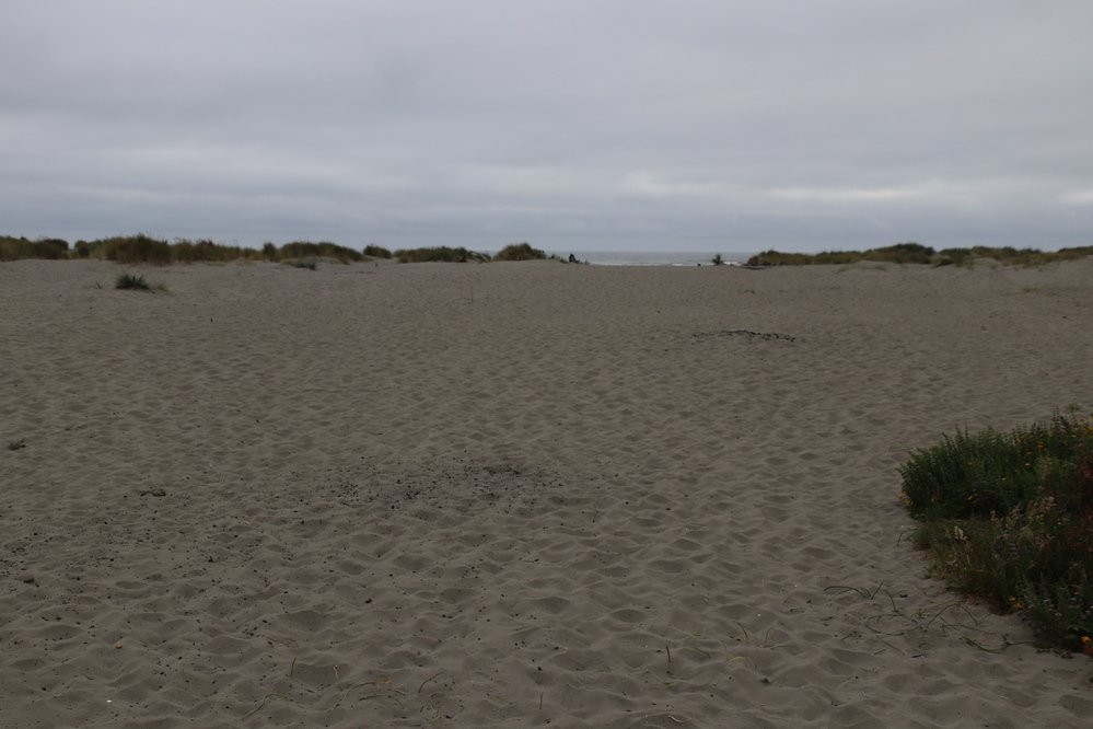 Clam Beach County Park景点图片