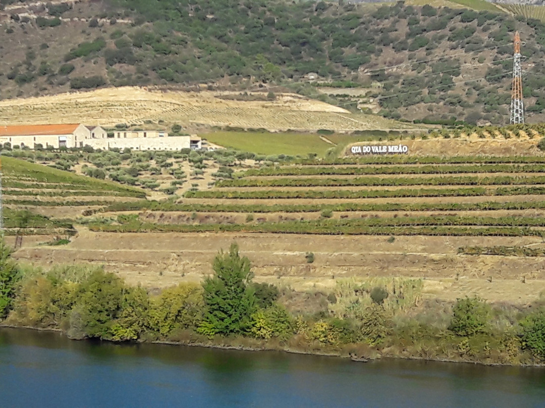 Quinta do Vale Meao景点图片