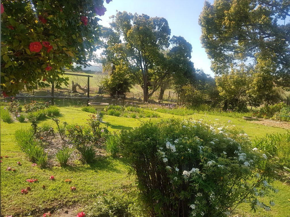 Lalani Bed & Breakfast主图