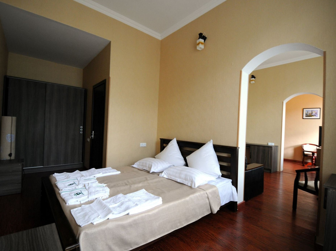 Hotel Borjomis Kheoba主图