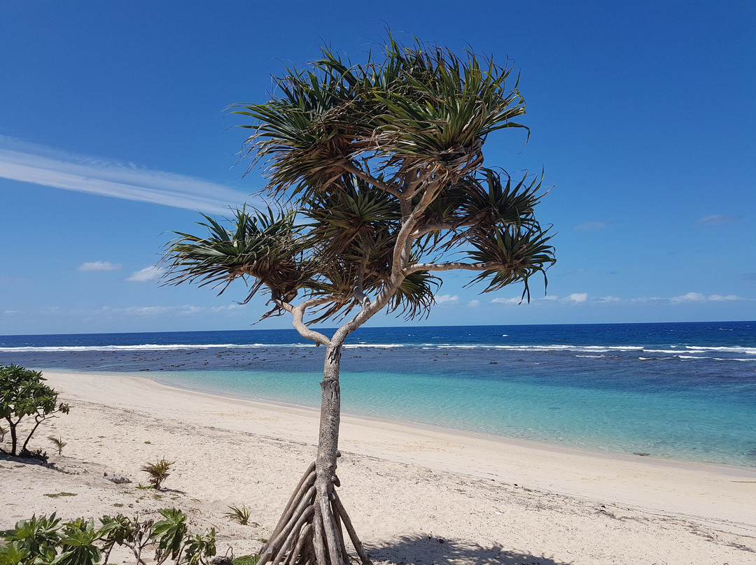 Tanna Transfer & Tour Services
