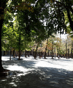 Piazza Fontanesi景点门票图片