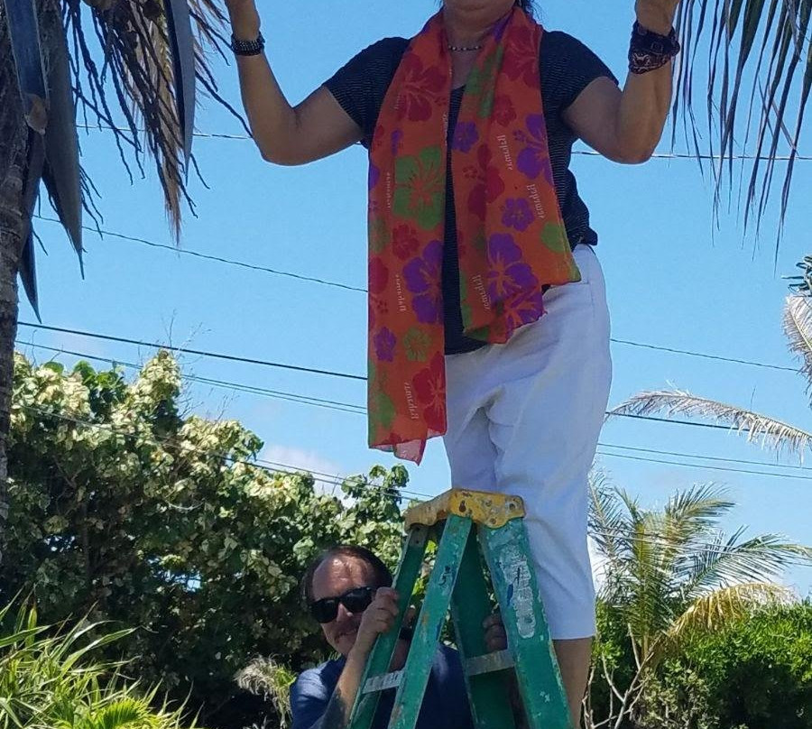 At YOUR Pace Private Tours-拿骚必去景点