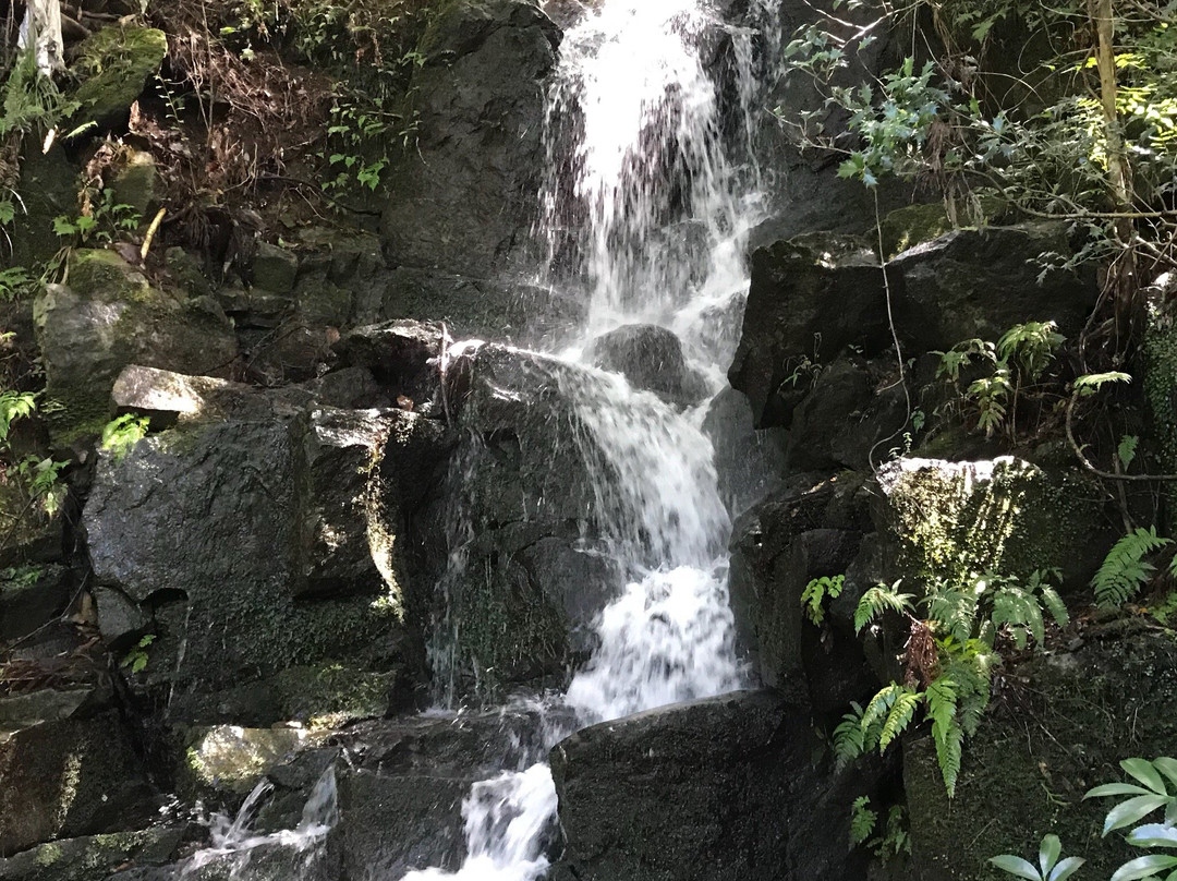 Banjo Falls景点图片