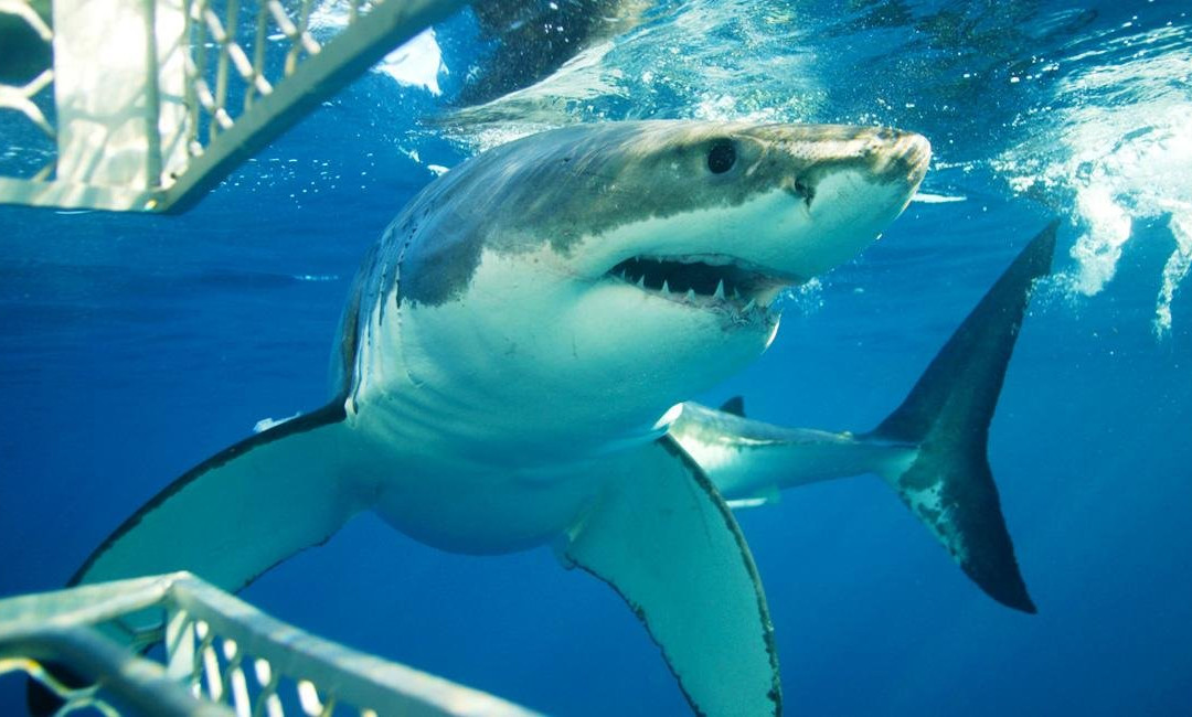 Matadi Africa And Travel Tours-Century City必去景点