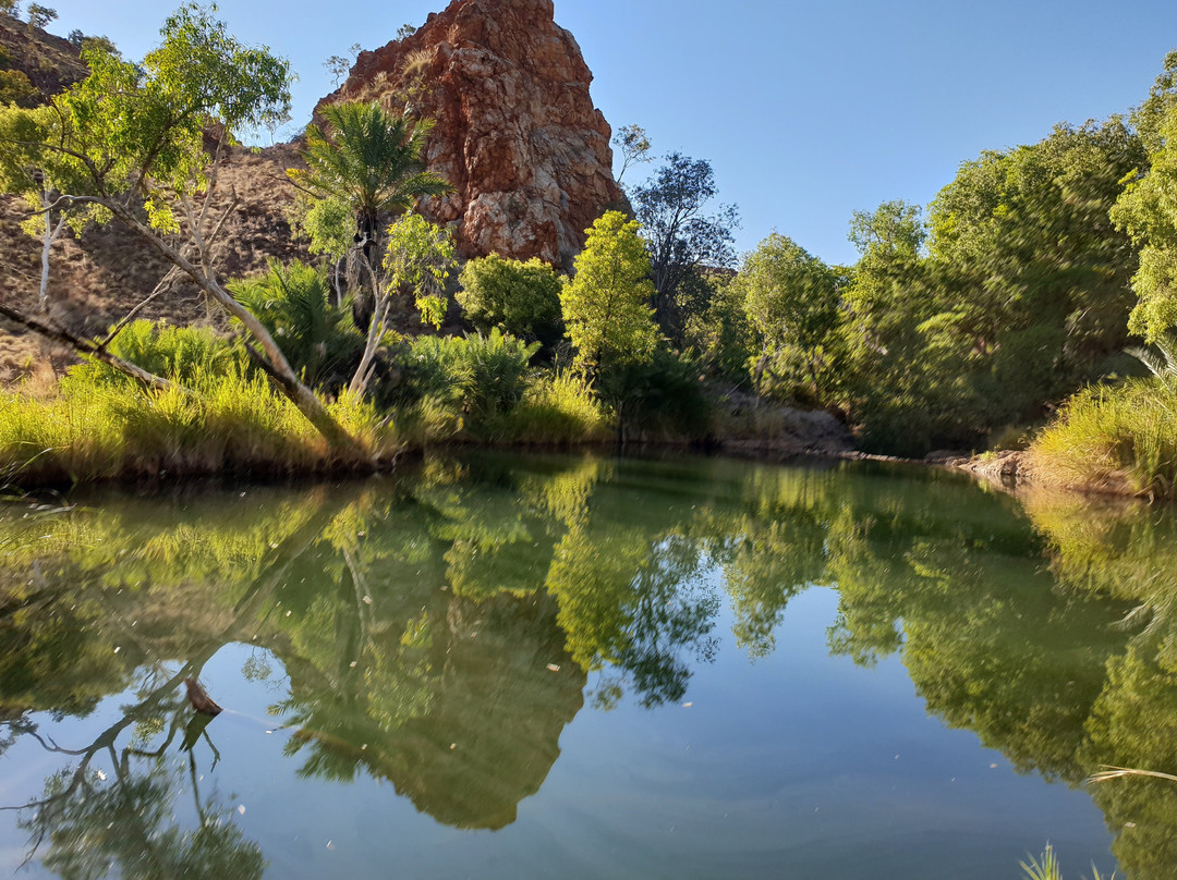 Palm Springs Nature Reserve景点图片