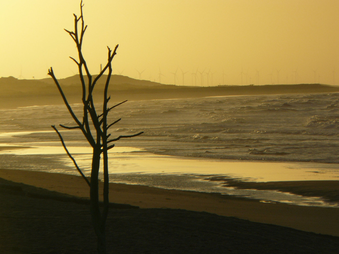 Arrombado Beach景点图片