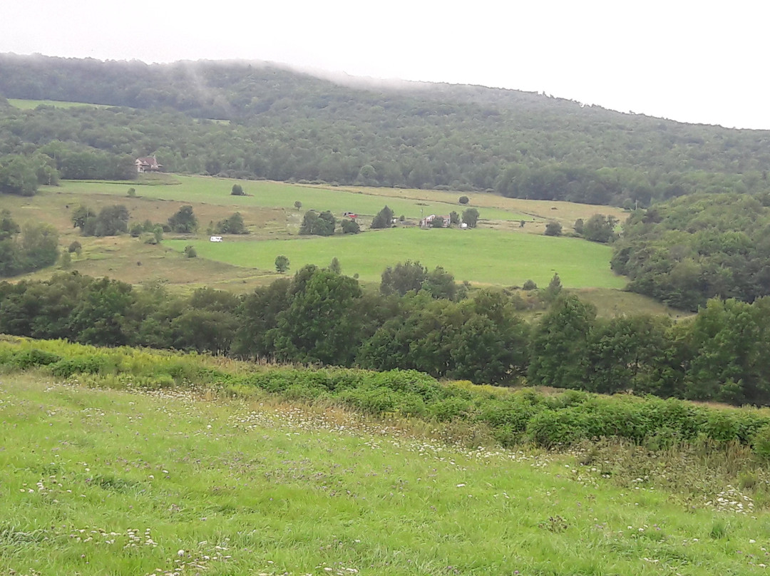 Mountain View Dairy-Bloomville必去景点