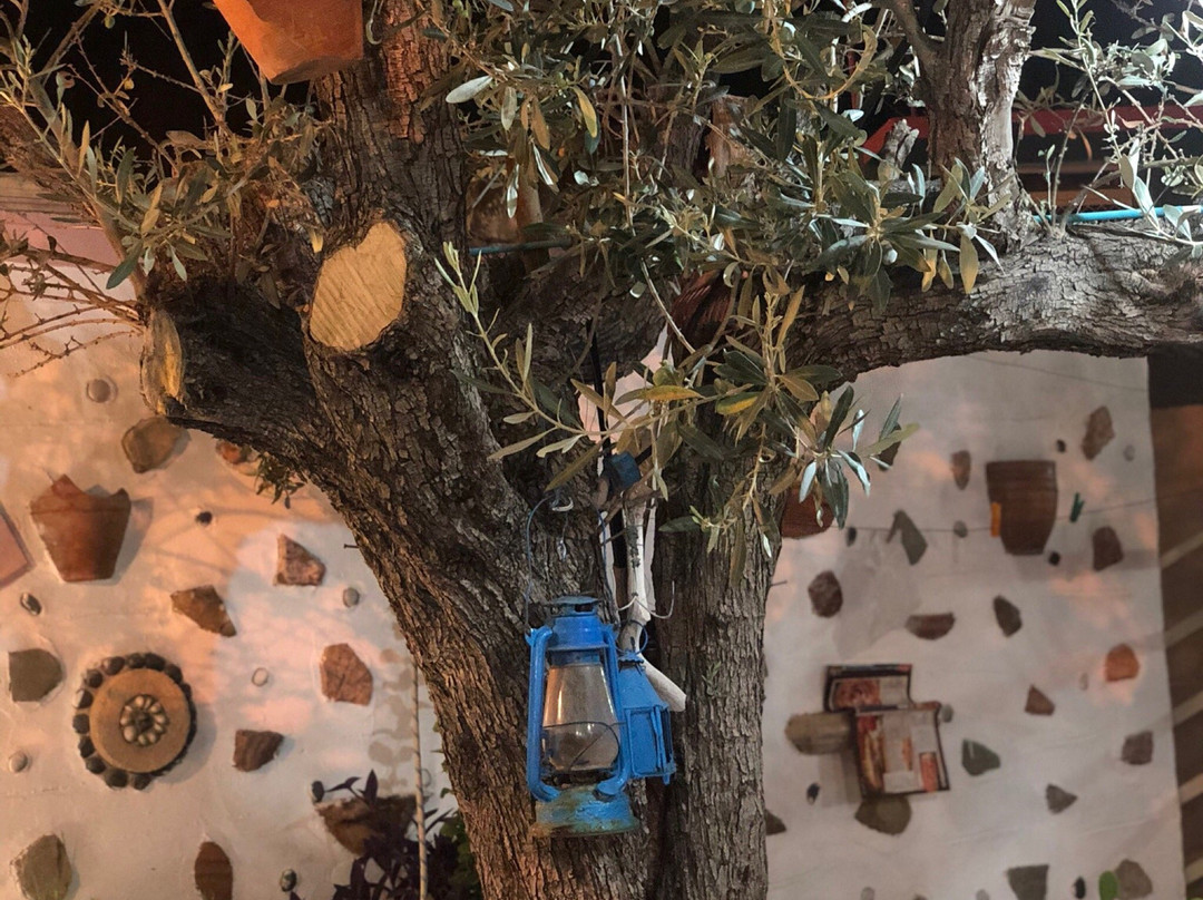 Aroma Stegna sea主图