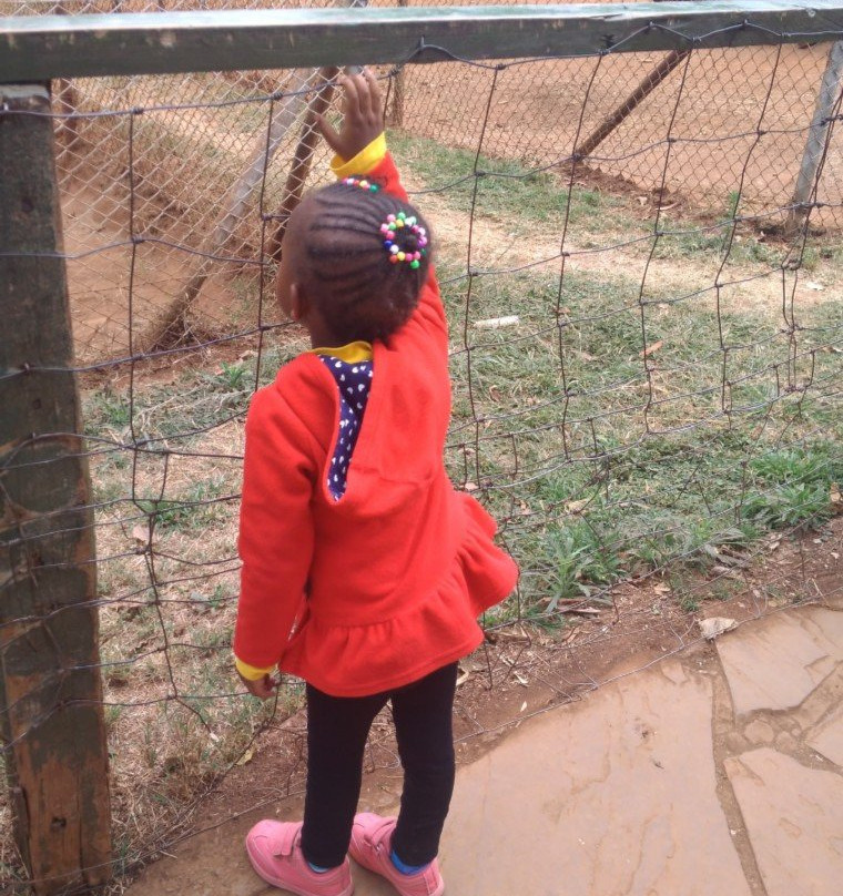 Leo Africa Safaris-内罗毕必去景点