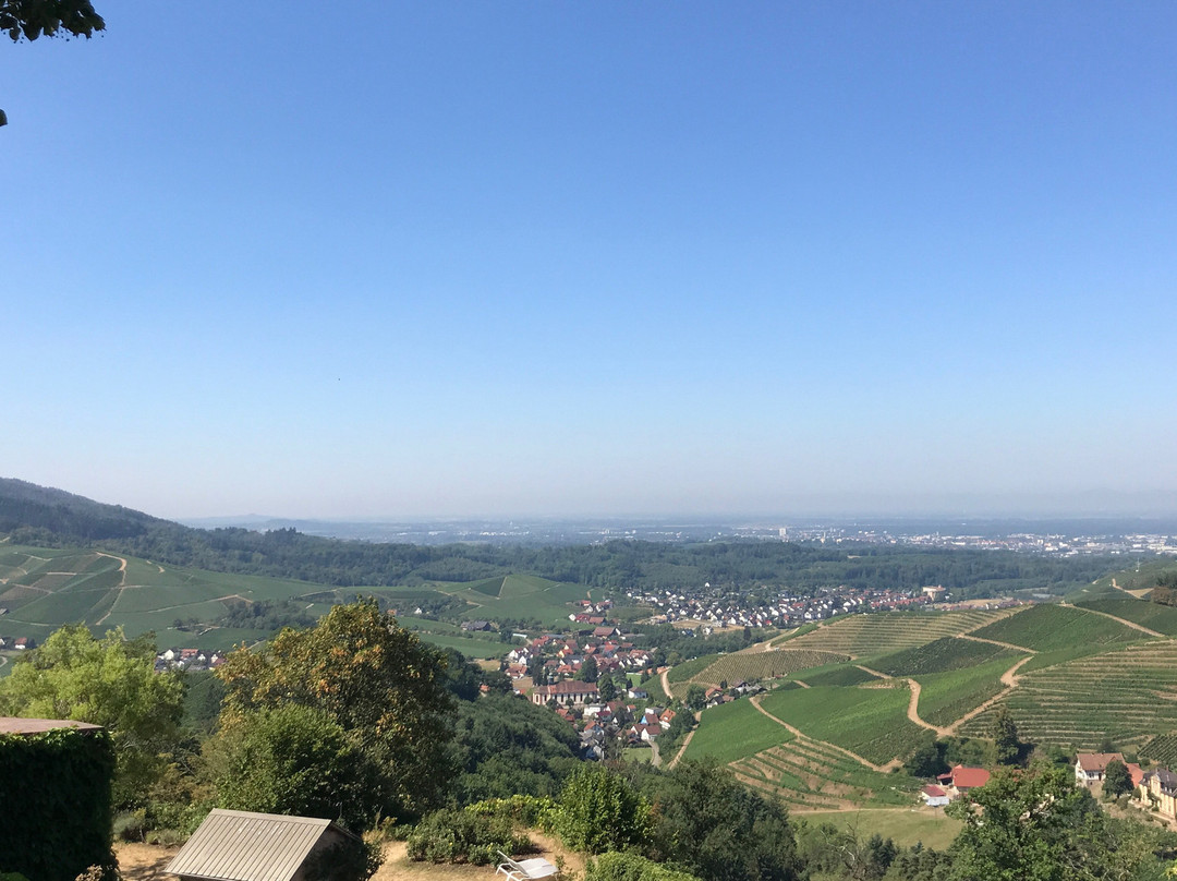 Weingut Schloss Staufenberg景点图片