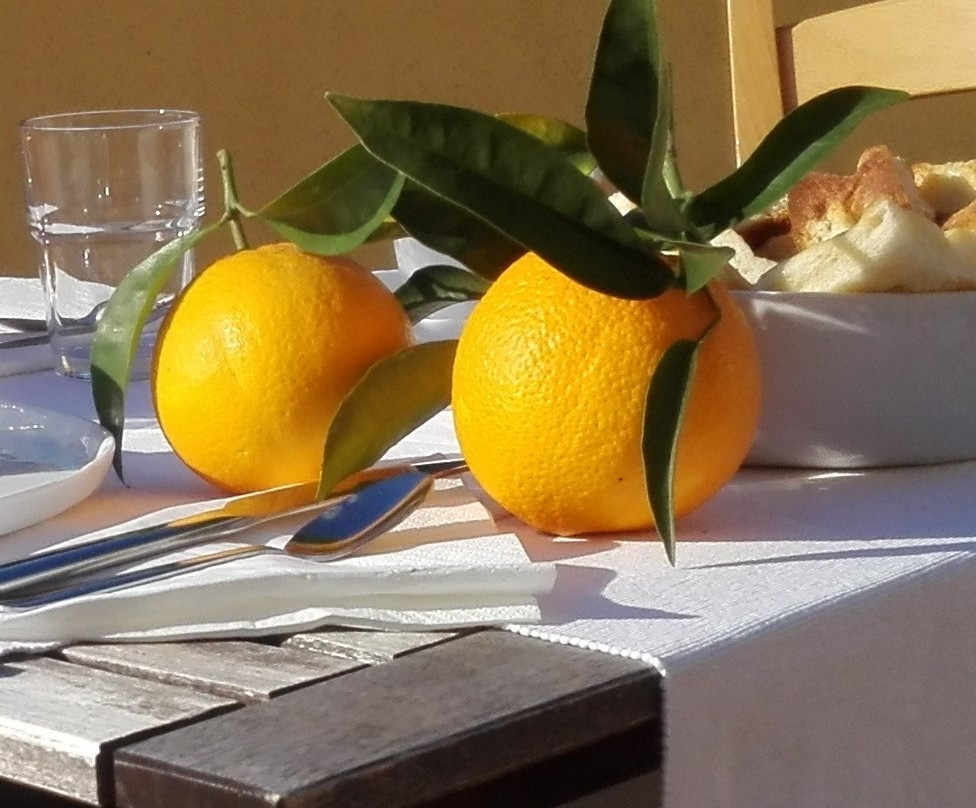 B&B Pernambucco主图