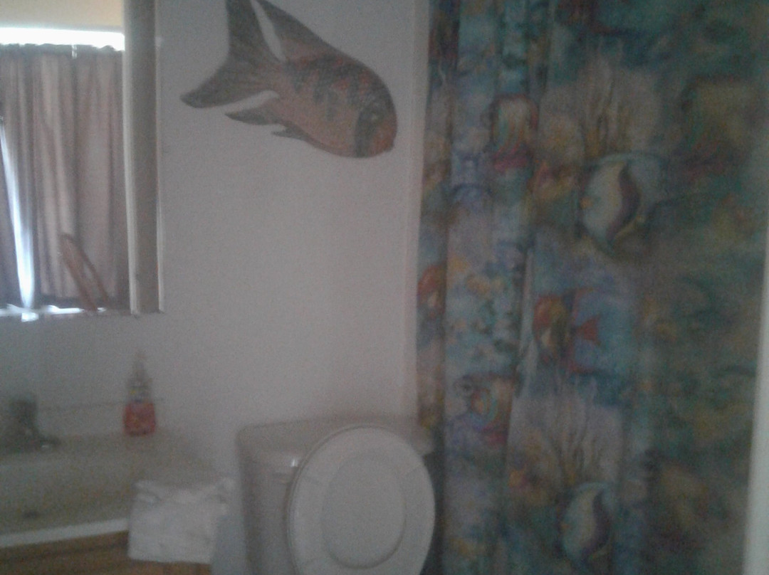 The Aloha Motel Apartments主图